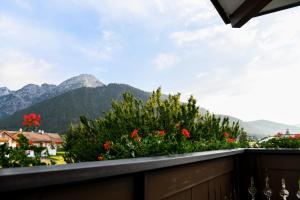 a balcony with a view of mountains and flowers at Guesthouse Rosengarten in Dobbiaco