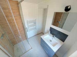 ein Bad mit einem Waschbecken und einer Dusche in der Unterkunft ° Appart 4 - Lunéville centre ° in Lunéville
