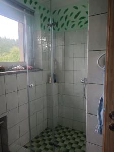 W łazience znajduje się prysznic ze szklanymi drzwiami. w obiekcie Ferienhaus am Waldrand in der Nähe eines Badesees w mieście Dylaki