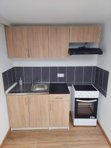 a small kitchen with a sink and a stove at Cosy 4 - Lunéville centre in Lunéville