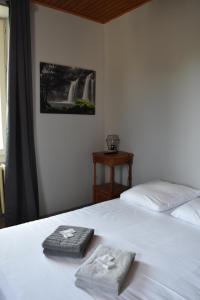 Postel nebo postele na pokoji v ubytování Hôtel Restaurant des Lacs