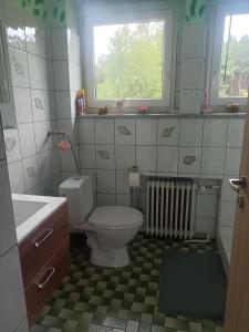 een badkamer met een toilet en een raam en een radiator bij Ferienhaus am Waldrand in der Nähe eines Badesees in Dylaki
