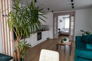 a living room with a blue couch and plants at Apartament 2 Komfort in Słupsk