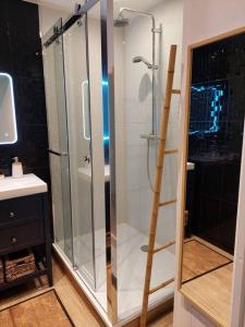 La salle de bains est pourvue d'une douche avec une porte en verre. dans l'établissement Appartement 65 m² avec piscine., à Tours