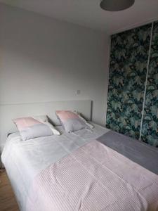 ein Schlafzimmer mit einem großen Bett mit zwei Kissen in der Unterkunft Appartement 65 m² avec piscine. in Tours