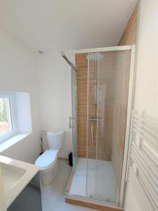 a bathroom with a toilet and a glass shower at ° Appart 3 - Lunéville centre ° in Lunéville