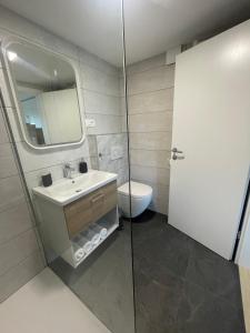 a bathroom with a sink and a toilet and a mirror at The Boathouse Apartment in Bled