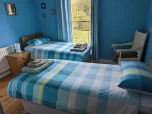 two beds in a room with blue walls at Isfryn Cottage in Aberangell