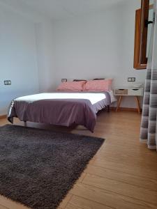ein Schlafzimmer mit einem Bett und einem Teppich in der Unterkunft Casa privada centrica in Vilanova de Arousa