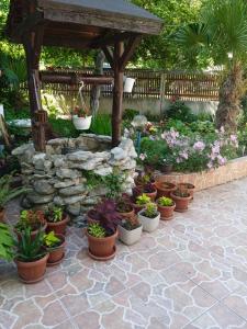 キテンにあるGuest House Urdovizaの鉢植えの植物が並ぶパティオ