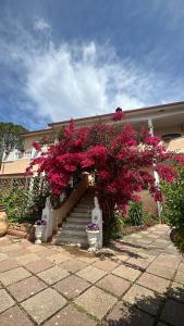 ein Haus mit einer Treppe mit rosa Blumen in der Unterkunft Casa Vacanze La Brii in Iglesias