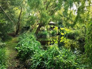 a garden with a pond and trees and plants at The Snuggery 