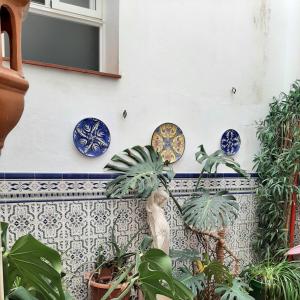 a wall with blue plates and plants on it at Sotel Valle Guadiaro in Pueblo Nuevo de Guadiaro