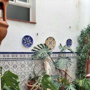a wall with blue plates and plants on it at Sotel Valle Guadiaro in Pueblo Nuevo de Guadiaro +48 photos
