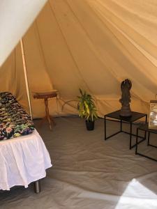 une tente avec un lit et une plante. dans l'établissement Glampingtält, à Torsby