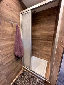 a shower with a glass door in a bathroom at Apartment Ana in Arzl im Pitztal