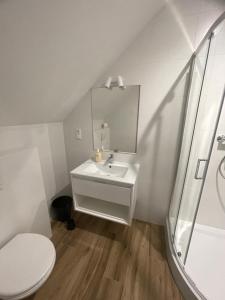 uma casa de banho com um lavatório, um WC e um espelho. em Siedlisko Czarny Orzeł em Gawliki Wielkie