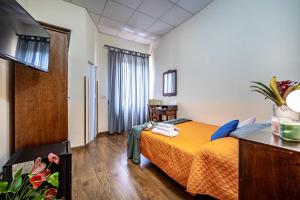 Habitación de hotel con cama y TV en Hotel Minerva en Pisa