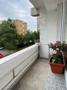 a balcony with flowers in a pot on a building at Hakuna Matata in Skopje