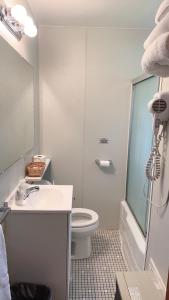 a bathroom with a toilet and a sink and a shower at Falls Motel in Niagara Falls