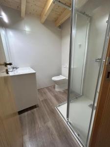 een badkamer met een glazen douche en een toilet bij Casas dos Senadores by Vale do Zêzere Hotel in Manteigas