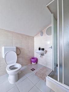 a bathroom with a toilet and a shower and a sink at Vila Cicovac in Novalja
