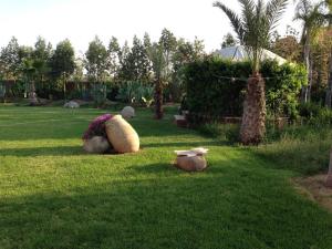 einen Hof mit Felsen und Pflanzen im Gras in der Unterkunft Villa Marrakech in Marrakesch
