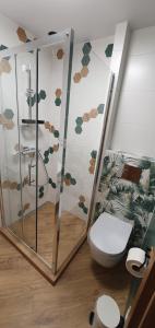 a bathroom with a shower and a toilet in a room at Domki letniskowe "U Adaska" in Chałupy