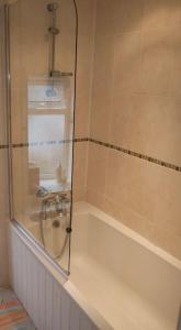 a shower with a glass door in a bathroom at Entire characterful cottage in Calstock, Cornwall in Calstock