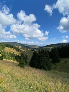 Príroda v okolí apartmánu