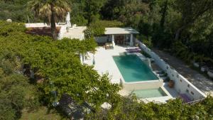 an overhead view of a swimming pool in a house at Oliveyard Stone Built House- with pool non chlorin in Koskinou