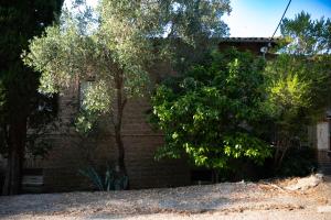 a brick building with trees in front of it at Guesthouse Elena , Vatos, Corfu in Vátos +67 photos