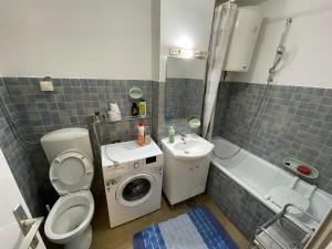 y baño con aseo, lavabo y lavadora. en Apartman-Apartment-Stan Ilidža, en Sarajevo