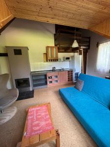 Posezení v ubytování Apartments Cederika