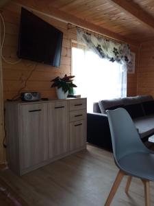 a living room with a tv on a wooden wall at Sielanka na wzgórzu in Czostków