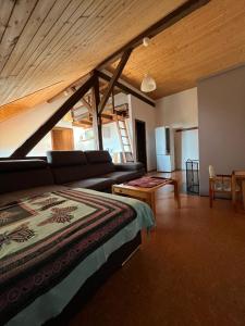 a living room with a bed and a couch at Apartments Cederika in Věžovatá Pláně