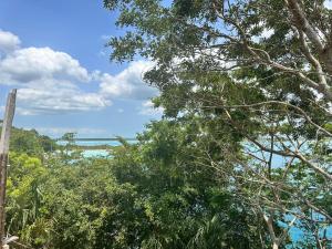 a view of the ocean through the trees at bacalar My Love Front Laguna in Bacalar
