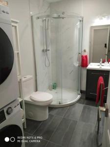 a bathroom with a shower and a toilet and a sink at Studio sous-sol Lachine 10 min de DT in Montreal