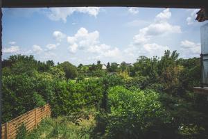 uitzicht op een tuin met bomen en een hek bij Little Cocoon ~ T2 douillet in Vierzon