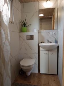 La salle de bains est pourvue de toilettes et d'un lavabo. dans l'établissement Sielanka na wzgórzu, à Czostków
