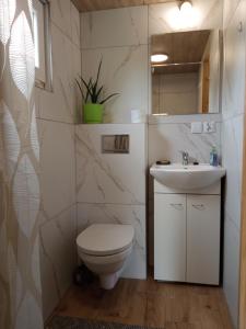 a bathroom with a toilet and a sink at Sielanka na wzgórzu in Czostków +21 photos