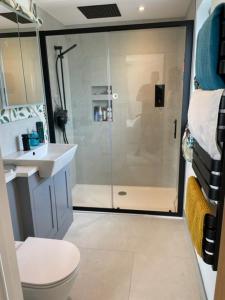 a bathroom with a shower and a toilet and a sink at Luxury Devon House in Chulmleigh