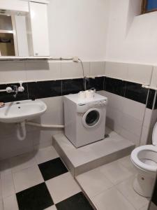 a bathroom with a toilet sink and a washing machine at Privatni smestaj Apartman Ristovic preko puta poste 02 in Mataruška Banja +12 photos