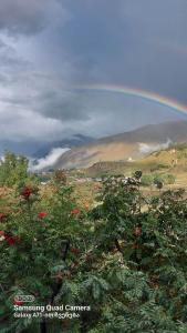 a rainbow over a field with trees and flowers at M7 House in Gorists'ikhe