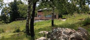 a log cabin in the middle of a field with trees at Enklawa w Porębie in Długopole-Zdrój