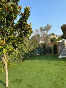 un patio con césped verde y un árbol en Petite maisonette adossee mais independante avec piscine, en Peymeinade
