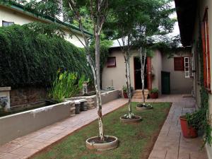 zwei Bäume im Innenhof eines Hauses in der Unterkunft East View Guesthouse in Pretoria