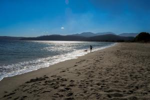 a person walking a dog on the beach at MIkro Xorio in Vathi