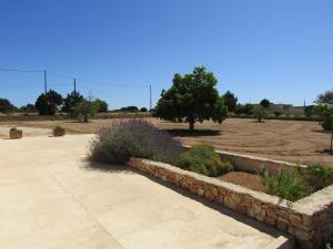 um jardim com algumas plantas e uma parede de pedra em Casa Antonia ET- 6805 em Sant Francesc Xavier