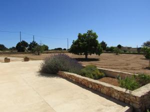 a garden with some plants and a stone wall at Casa Antonia ET- 6805 in Sant Francesc Xavier